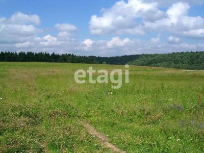 Лот: 25296410. Фото: 1. участок , ДНТ Мальта ДНТ Мальта... Земельные участки