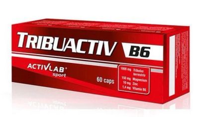 Лот: 8317304. Фото: 1. Tribuactiv B6 (60 капс.). Спортивное питание, витамины