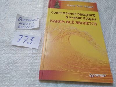 Лот: 19314932. Фото: 1. Нидал Оле. Современное введение... Религия, оккультизм, эзотерика