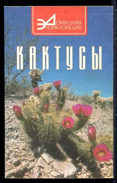 Лот: 23433674. Фото: 1. Кактусы. Сад, огород, цветы