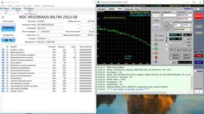 Лот: 6576269. Фото: 1. Жесткий диск WD 250gb. Жёсткие диски (HDD)