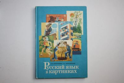 Лот: 24615084. Фото: 1. Русский язык в картинках. В двух... Познавательная литература