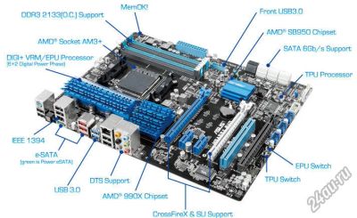 Лот: 5491434. Фото: 1. ASUS M5A99X EVO. Материнские платы