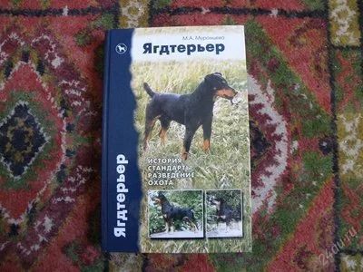 Лот: 2383316. Фото: 1. ягдтерьер. Другое (хобби, туризм, спорт)