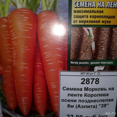Лот: 9122147. Фото: 1. Семена / овощи / Морковь / на... Овощи