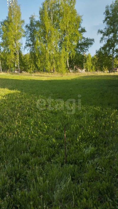 Лот: 25391602. Фото: 1. участок , дачный потребительский... Земельные участки