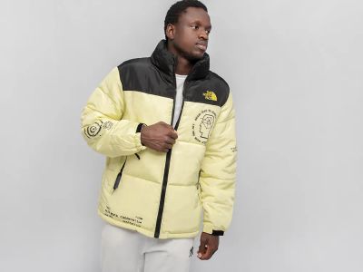 Лот: 24979347. Фото: 1. Куртка The North Face. Верхняя одежда