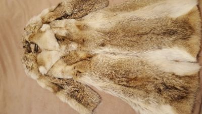 Лот: 12615869. Фото: 1. Шуба производство Канада из волка... Верхняя одежда