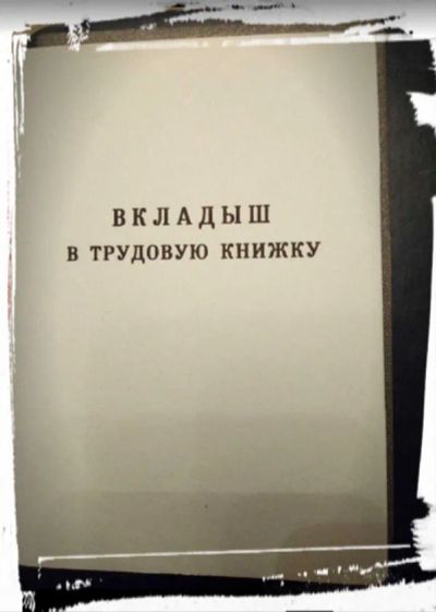 Лот: 17862783. Фото: 1. вкладыш в трудовую книжку. Записные книжки, ежедневники, блокноты