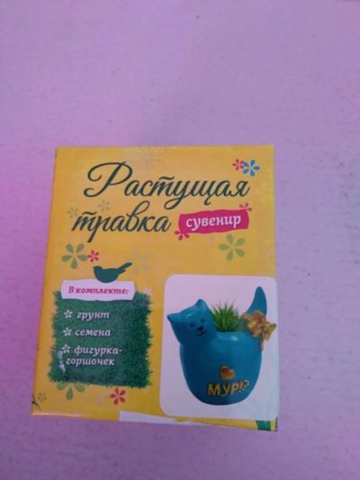 Лот: 12030123. Фото: 1. Сувенир растущая травка. Фигурки, статуэтки
