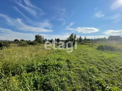 Лот: 25289320. Фото: 1. участок , садоводческое некоммерческое... Земельные участки
