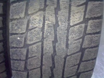 Лот: 1378233. Фото: 1. Липучка Dunlop. Шины