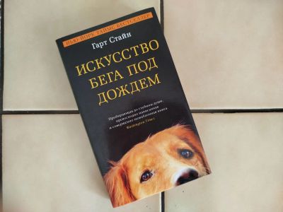 Лот: 25554466. Фото: 1. Искусство бега под дождем - Гарт... Художественная
