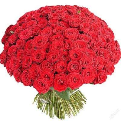 Лот: 4413792. Фото: 1. Букет 101 красная роза, высокая... Другое (цветы, букеты)