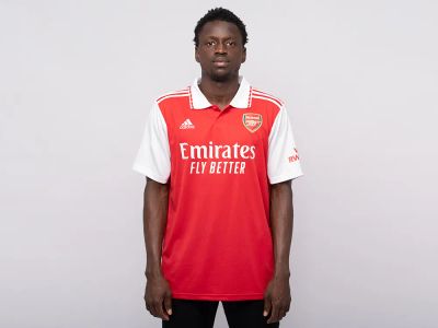 Лот: 24977975. Фото: 1. Поло Adidas FC Arsenal. Футболки, поло