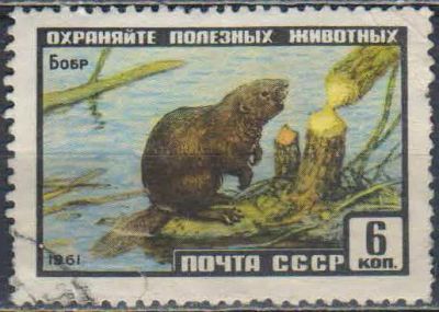 Лот: 25527905. Фото: 1. 1961, январь. Фауна СССР. н.с... Марки