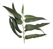 Лот: 5895301. Фото: 1. Коллекция купажей из целебных... Чай, кофе, какао
