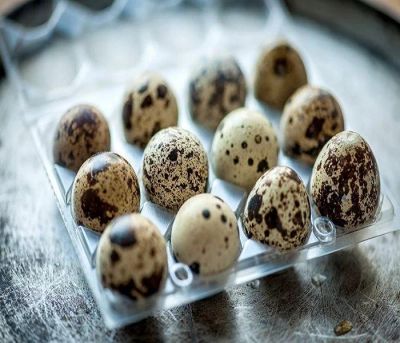 Лот: 16277507. Фото: 1. Яйца перепелиные Свежие, Вкусные... Мясо, птица, яйцо