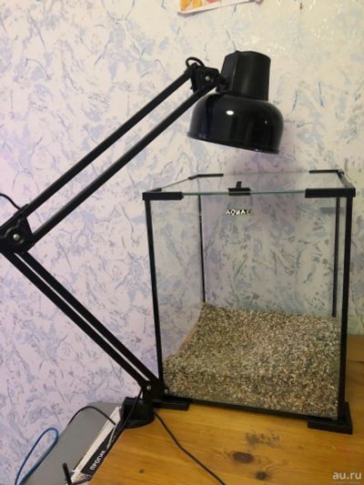 Лот: 13686604. Фото: 1. Аквариум креветочник Aquael Box... Аквариумы, террариумы