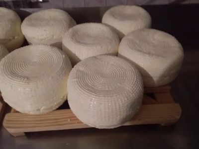 Лот: 23582988. Фото: 1. Рассольный сыр брынза 45% оптом. Молоко и молочные продукты