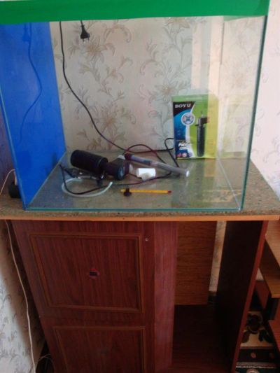 Лот: 3139723. Фото: 1. аквариум с тумбой и другие принадлежности... Аквариумы, террариумы