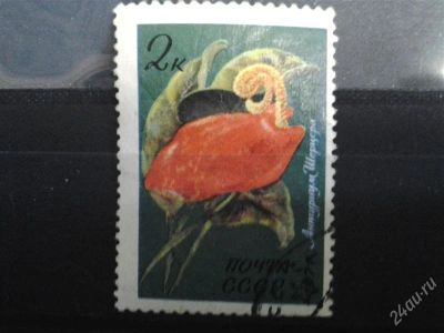 Лот: 2517313. Фото: 1. 1971 тропические растения антуриум... Марки