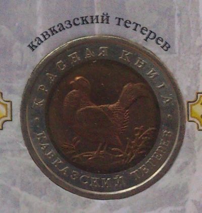 Лот: 7841459. Фото: 1. Красная книга 50 рублей 1993 года... Россия после 1991 года