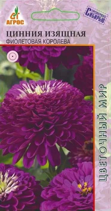 Лот: 11025561. Фото: 1. Циния Фиолетовая королева 0,5гр. Садовые цветы