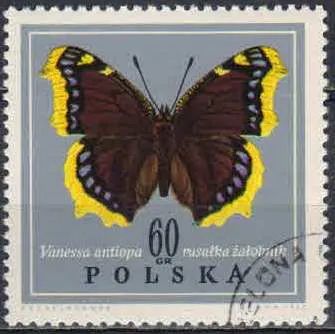 Лот: 21558354. Фото: 1. 1967. Польша. Бабочки. н.с... Марки