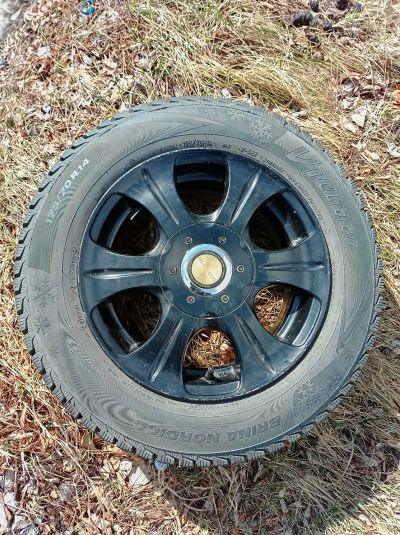 Лот: 25279590. Фото: 1. Колеса Hankook\Brina Nordico на... Шины на дисках