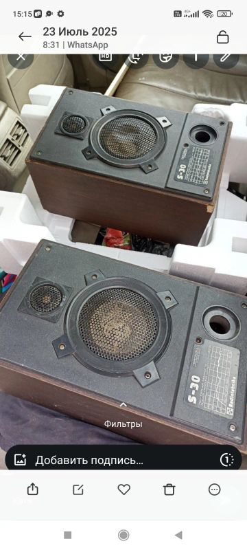 Лот: 25524408. Фото: 1. Колонки radiotehnika s30. Портативные, беспроводные колонки