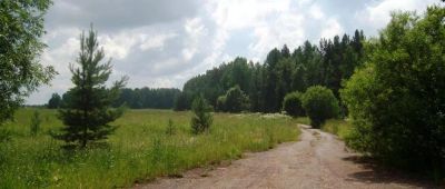 Лот: 4004065. Фото: 1. З/у рядом с п.Малый Кускун, лес... Земельные участки