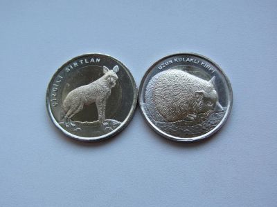 Лот: 4471035. Фото: 1. Турция 1 лира 2014г набор из 2... Наборы монет