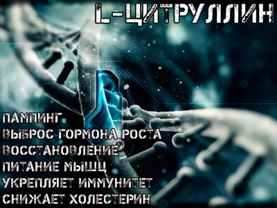 Лот: 4853935. Фото: 1. L-Цитруллин на развес Wirud (Германия... Спортивное питание, витамины