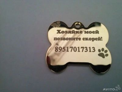 Лот: 3545930. Фото: 1. Адресник. Найти вашего потерявшегося... Ошейники, одежда, конное снаряжение
