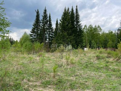 Лот: 25295259. Фото: 1. участок , садоводческое некоммерческое... Земельные участки
