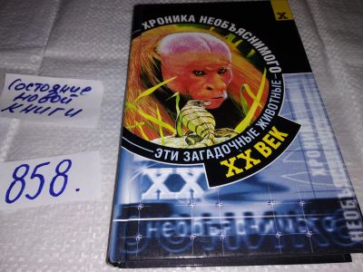 Лот: 18422376. Фото: 1. ок...(05..034) XX век. Хроника... Религия, оккультизм, эзотерика