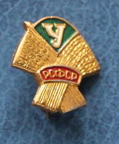 Лот: 7306499. Фото: 1. Знак Соревнования ДСО "Урожай... Сувенирные