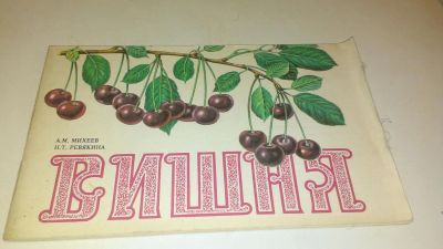 Лот: 4073626. Фото: 1. А. М. Михеев "Вишня". Другое (литература, книги)