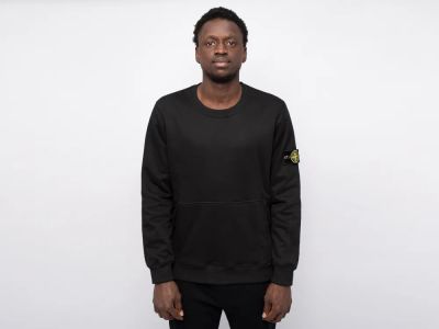Лот: 24977213. Фото: 1. Свитшот Stone Island. Свитеры, толстовки, худи