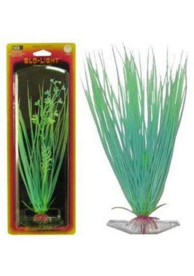 Лот: 6396819. Фото: 1. Растение PENN-PLAX Hairgrass для... Водные растения