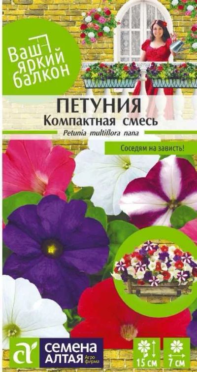 Лот: 15835611. Фото: 1. Рассада петунии "Компактная смесь... Другое (семена, рассада, садовые растения)