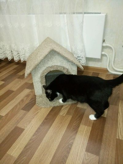 Лот: 10301957. Фото: 1. Домик для кошачих. Домики, переноски, клетки, когтеточки
