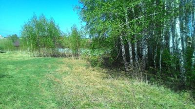 Лот: 5592900. Фото: 1. Участок в березовой роще, Сухая... Земельные участки