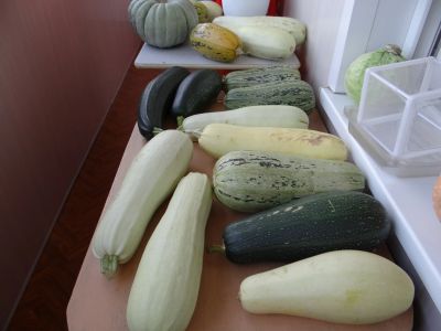 Лот: 12309177. Фото: 1. Кабачек. Овощи, фрукты, зелень