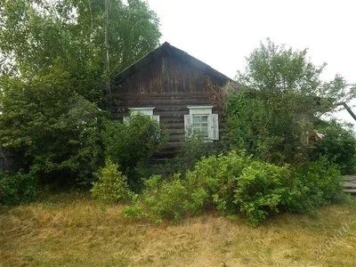 Лот: 1810403. Фото: 1. Дом с участком в д. Берег Таскино. Дачи