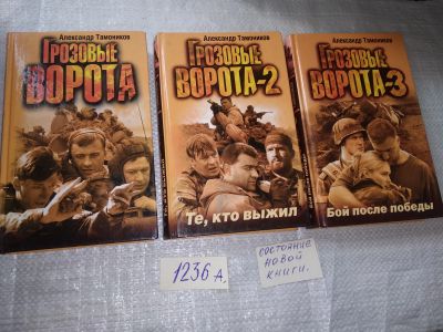 Лот: 19364101. Фото: 1. оз (18..020) Одним лотом Грозовые... Художественная