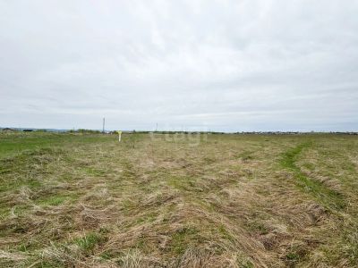 Лот: 25296169. Фото: 1. участок , деревня Терентьево деревня... Земельные участки