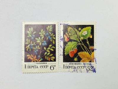 Лот: 23315496. Фото: 1. Дикорастущие ягоды. Неполная серия... Марки