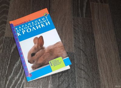 Лот: 18003162. Фото: 1. Книга "Карликовые декоративные... Другое (справочная литература)